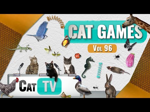 CAT Games | Ultimate Cat TV Compilation Vol 96 | 6 HOURS  🐝🐞🦋🦎🦜🐜🐭🧵