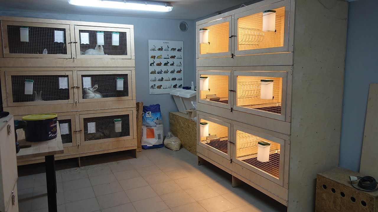 KRÓLICZARNIA moich marzeń ☆  Budowa klatki ✔ Hodowla królików