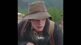 El vato y el lobo que se salvaron el uno al otro. #shorts #czq51211xdhjq