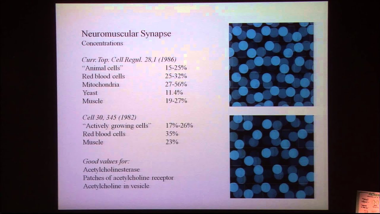 Visualizing the Molecular Structure of Cellular Environments - David Goodsell
