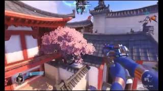 Blind D'va ult
