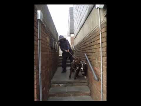 English Frank - Shank This ft Mic Righteous