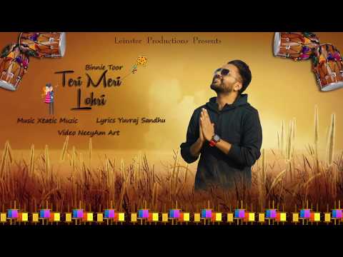 Teri Meri Lohri