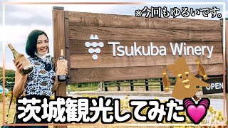 [茨城観光vlog] 那珂湊おさかな市場・干し芋専門店・つくばワイナリー行ってきたよ🚗