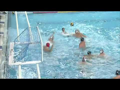 Steaua Bucarest vs CN Marseille - Highlights - Champion's League 2021/2022 Day 3