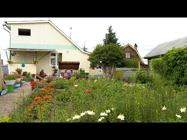 Цветущий сад и клумбы от дизайнера