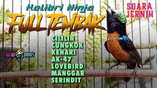 Download lagu MASTERAN KONIN MATERI MEWAH VARIASI TEMBAKAN PANJANG TERLENGKAP mp3 Download lagu MASTERAN KONIN MATERI MEWAH VARIASI TEMBAKAN PANJANG TERLENGKAP mp3