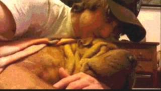 PORTA - AUSENTE (canción dedicada a bubu)