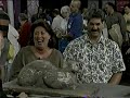KAID PBS Promos 4 12 2002