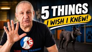 I Wish I Knew These 5 Things Before Getting My Reactive Dog