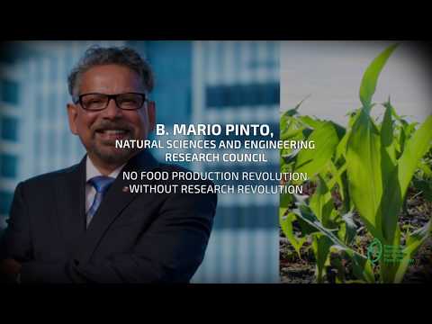 GIFSconf18: No Food Production Revolution Without Research Revolution  by  Mario Pinto