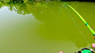 Download lagu I Was Reeling In A Fish When This Happened! mp3 Download lagu I Was Reeling In A Fish When This Happened! mp3