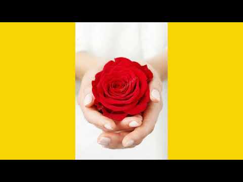 Jamie Norton & Philip Jewson  - My Poison(Audio Music)