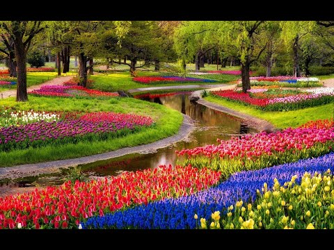 Ernesto Cortazar - Secret Feelings