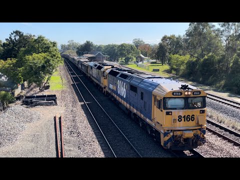 Pacific National 8166 & 8173 with 5428 Grain at East Maitland - 28/4/23