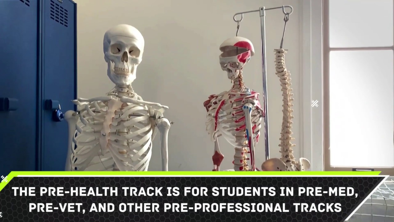 Sciences at Hunter College