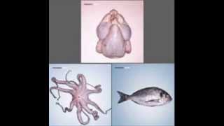 Clepsydra - 11.  The Nest