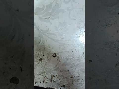 All Tablets Speaker Solution 📢🔔