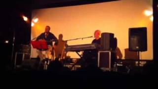Michel Fraisse et Bertrand Cheyrou - Les Facéties du blues 2