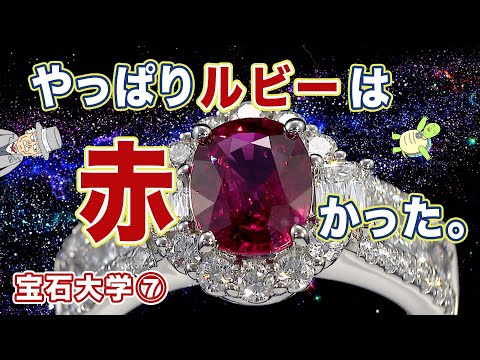 マルピギアレスについて詳しく解説