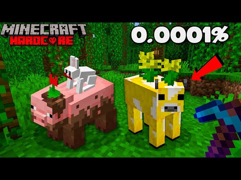Collecting Rare Mobs in Minecraft Hardcore in 24 Hours (Hindi)