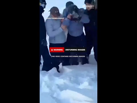 Tourist mauled by snow leopard after trying to take a photo in China