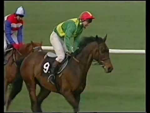 1991 Seagram Fox Hunters' Chase Double Turn 100/1