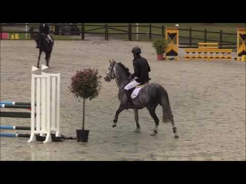 COME WITH ME 5j. v. Coupe de Coeur - Levisto VB 12.000,- Euro