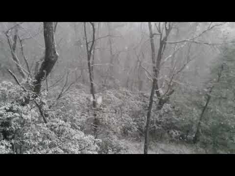 Big Canoe Slow Motion Snowfall  - 02/06/21