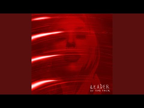 Video thumbnail for Leader Of the Pack
