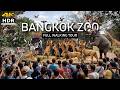 4K HDR Safari World Bangkok The BEST ZOO In The World Full Walking Tour 2026