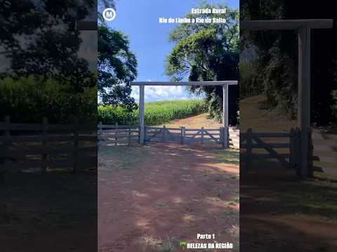 #EstradaRural #RiodoLimbo a #RiodoSalto #dia 20/01/2026 #Parte1 #ManoelRibas #Paraná #natureza