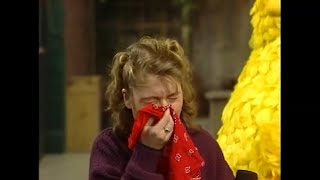Charakters from the TV-Show &quot;Sesame Street&quot; sneeze, cry and blow their noses