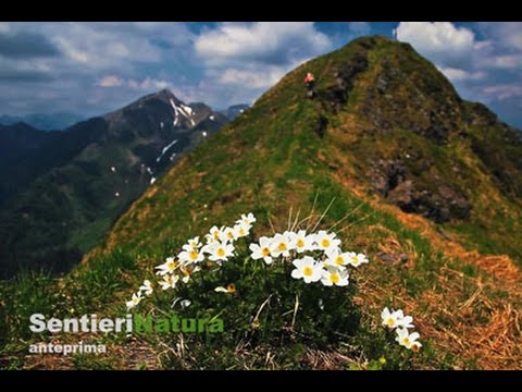 Anello del monte Lodin - SentieriNatura 2016 - 31
