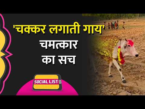 Viral Circling Cow:UP के Shravasti से हैरान कर देने वाला मामला,बीमारी पर भारी अंधविश्वास?Social List