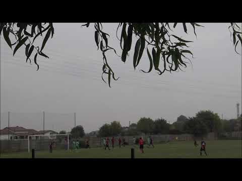 ALTOPOLESINE - PRO SAMBONIFACESE 1921 ALLIEVI REG U17