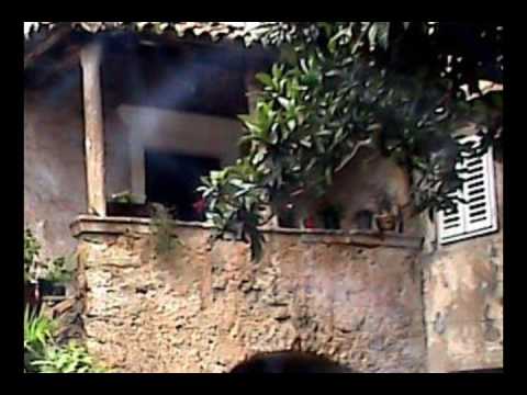 Alfredo Sadel (Besos en mis Sueños)