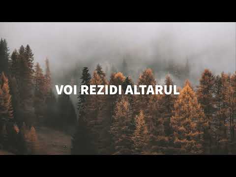 Voi rezidi altarul - Negativ