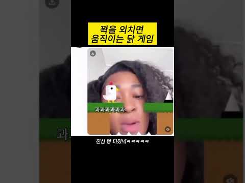 꽉을 외치면 움직이는 닭 게임