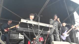 neville staple band - pressure drop (stockton calling 2016)