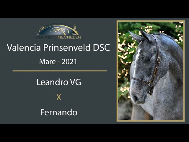 Valencia Prinsenveld DSC