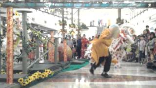 Kong Ha Hong Shuffle & Gangnam Style @PIM 2 14-02-2013