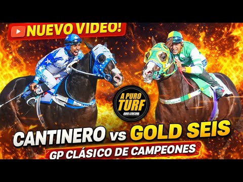 GOLD SEIS VS CANTINERO✅️  GP CLÁSICO DE CAMPEONES 