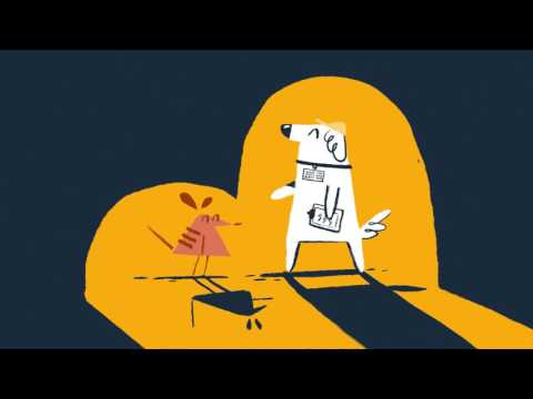 Zoo Twilights Done Right