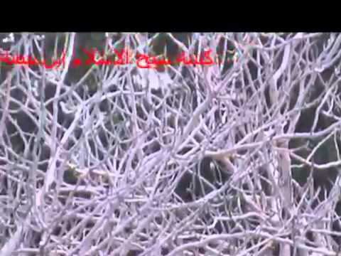 رصد أحد مقرات النظام قبل استهدافها من قبل لواء شباب سوريا الأحرار في ريف حماة