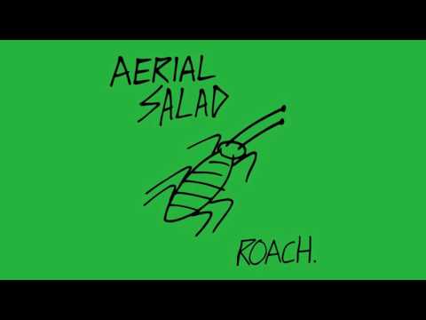 Aerial Salad - Dunhills