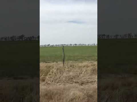 Campo en venta 100 has en  James Craik Cordoba. Tel:3571419077