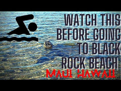 Lo que debes saber antes de ir a BLACK ROCK BEACH - Maui Hawaii