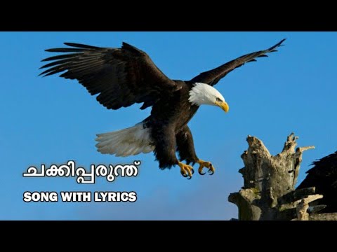 download lagu mp3 mp4 Kanda Kanda Manathu Kanda Lyrics, download lagu Kanda Kanda Manathu Kanda Lyrics gratis, unduh video klip Kanda Kanda Manathu Kanda Lyrics
