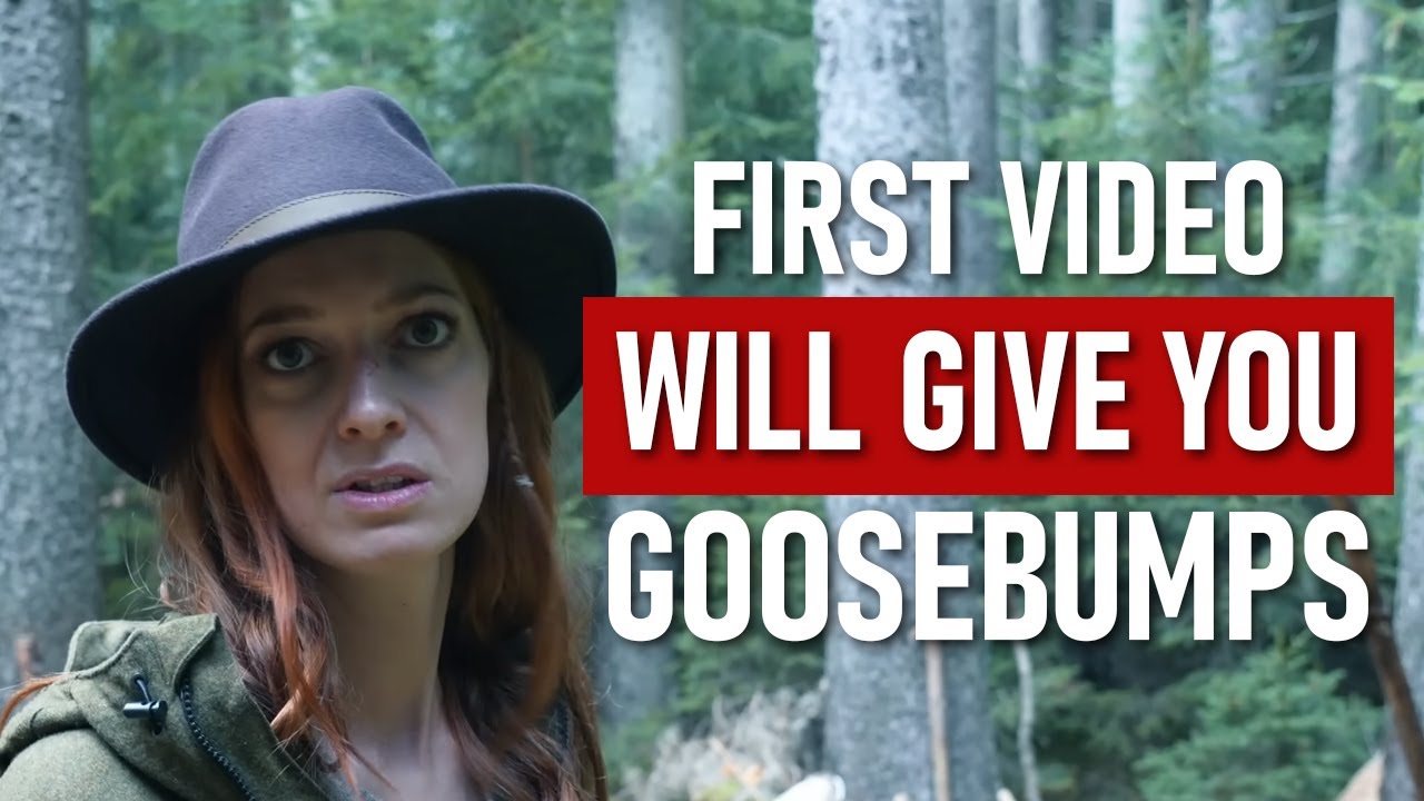 6 Intense FOREST Encounters Caught on Camera